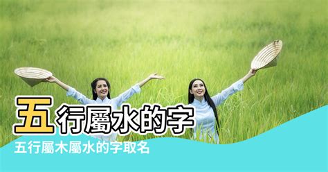 屬水字|屬水的字